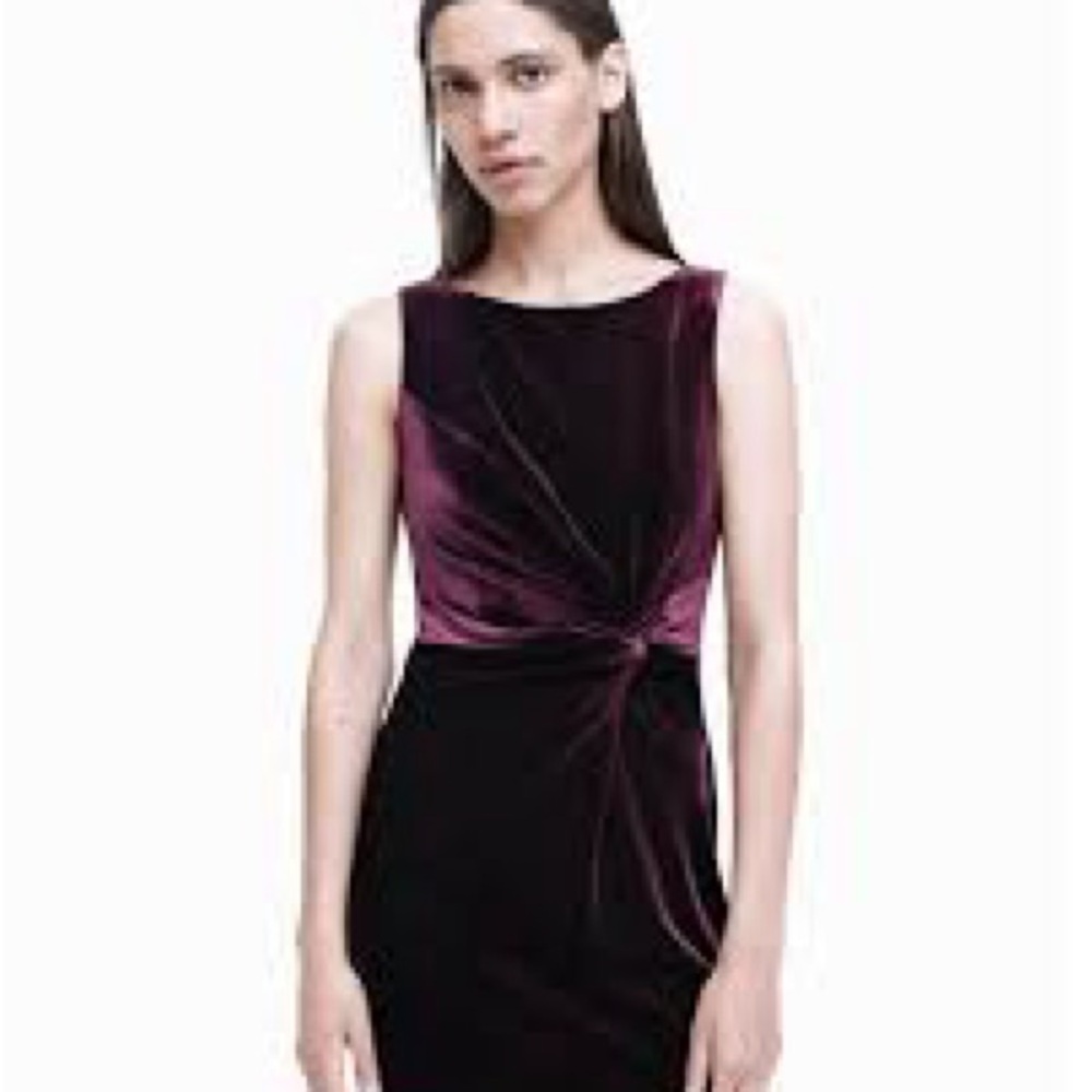 Calvin Klein Crushed Velvet Berry Sleeveless Dress (8)